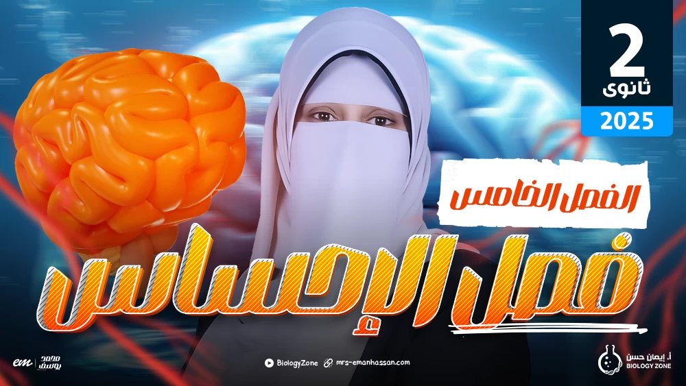 الفصل الخامس - فصل الإحساس 🧠🎯
