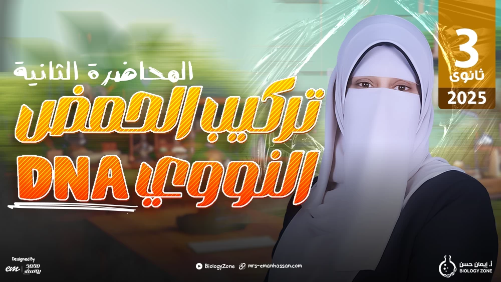 2️⃣ المحاضرة الثانية - محاضرة تركيب الحمض النووي DNA 🧬