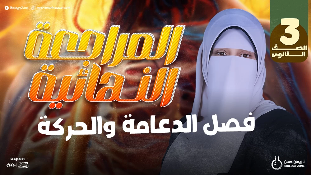 المراجعات النهائية - فصل الدعامة والحركة ✅