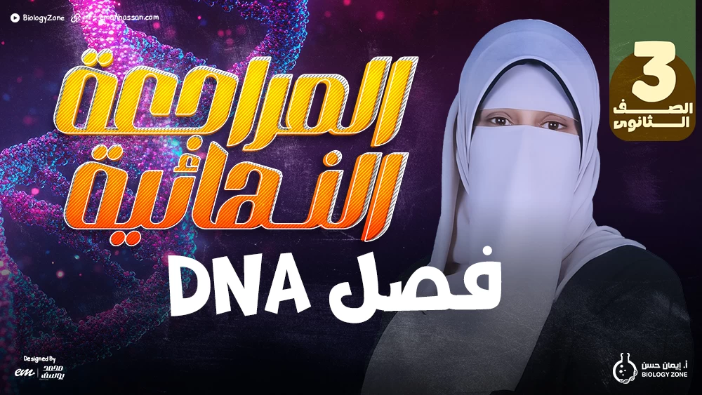 المراجعات النهائية - فصل DNA ✅