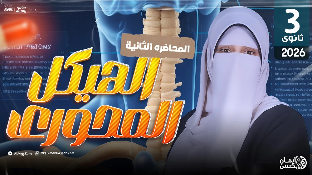 2️⃣المحاضرة الثانية - الهيكل المحورى فى الإنسان 💀