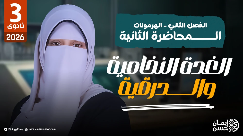 2️⃣ المحاضرة الثانية - الغدة النخامية والدرقية وجارات الدرقية ✅