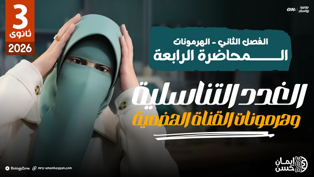 4️⃣ المحاضرة الرابعة - الغدد التناسلية وهرمونات القناة الهضمية والتغذية الراجعة 🤩