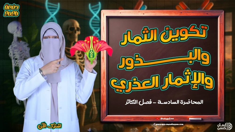 6️⃣المحاضرة السادسة - محاضرة تكوين الثمار والبذور والإثمار العذري