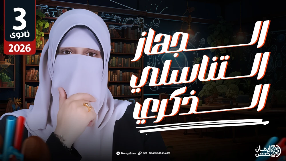 7️⃣ المحاضرة السابعة - محاضرة الجهاز التناسلي الذكري